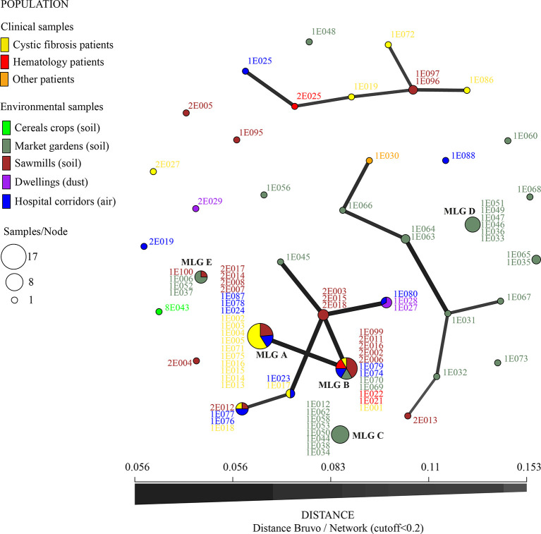 Figure 3