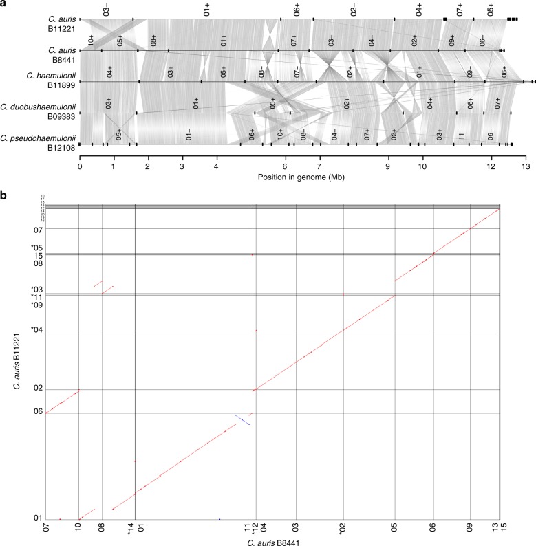 Fig. 1