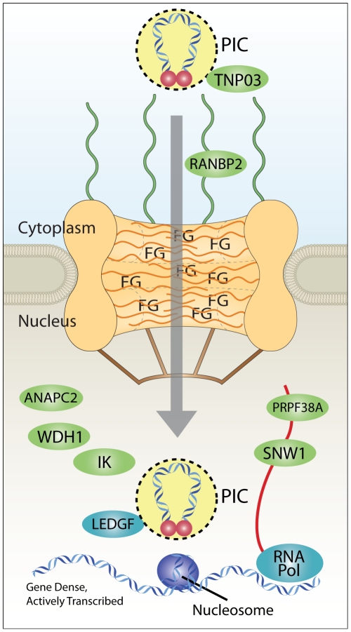 Figure 9