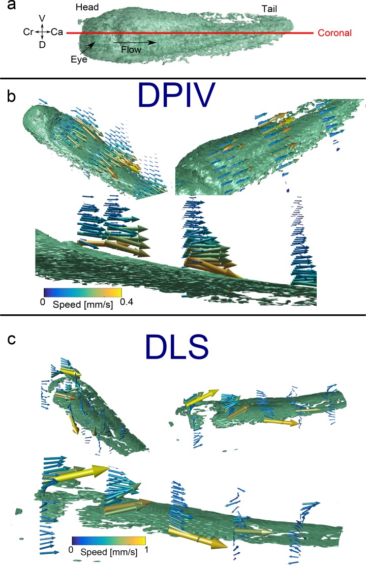 Fig. 5