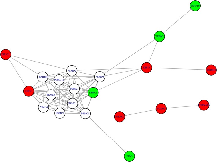 FIGURE 3