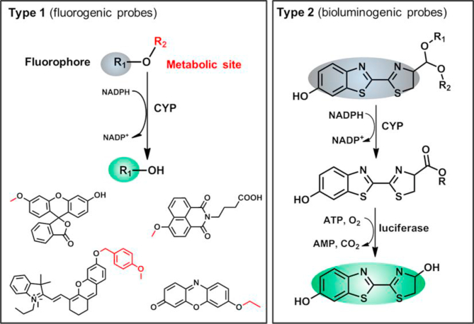 Figure 2