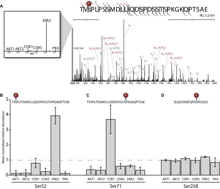 Figure 3