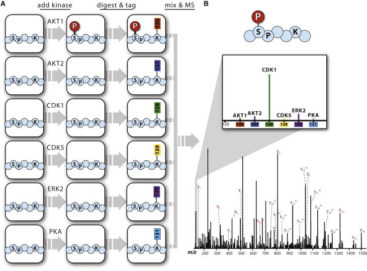 Figure 2