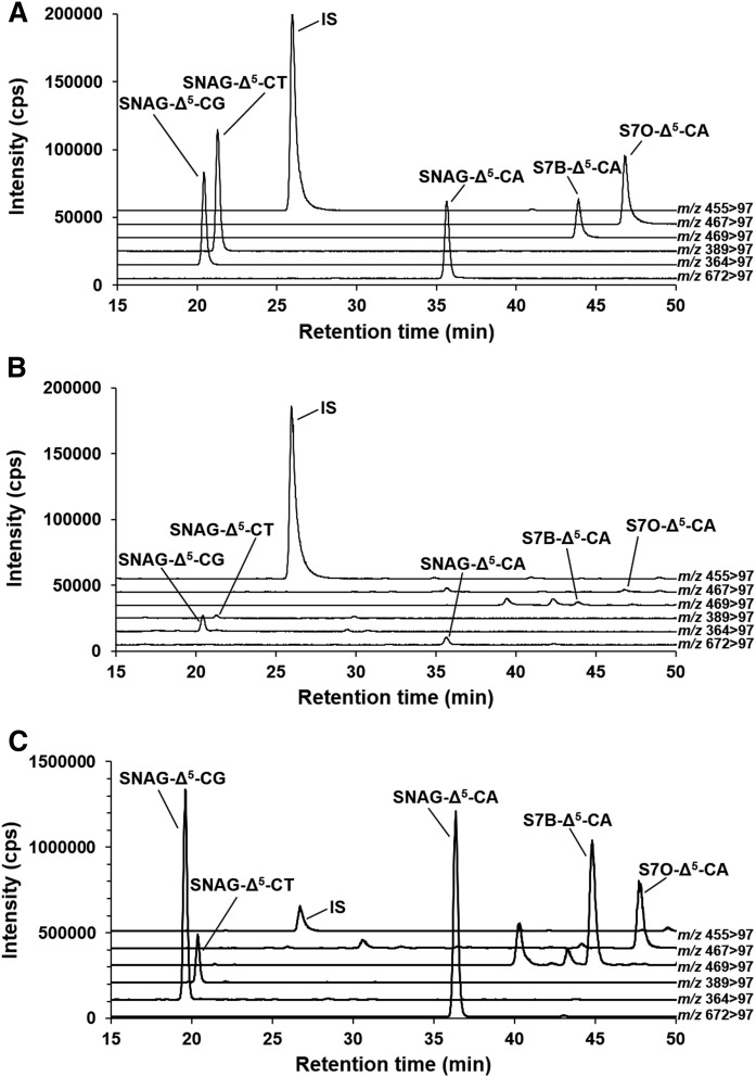 Fig. 2.