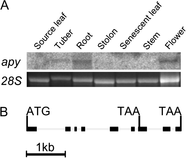 Figure 1.