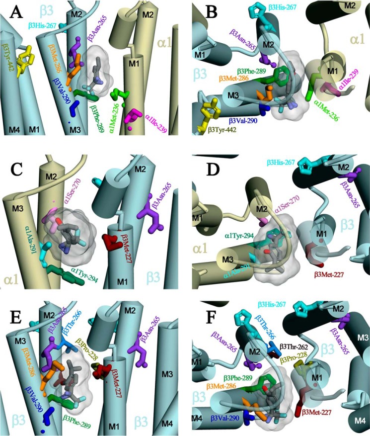 FIGURE 10.