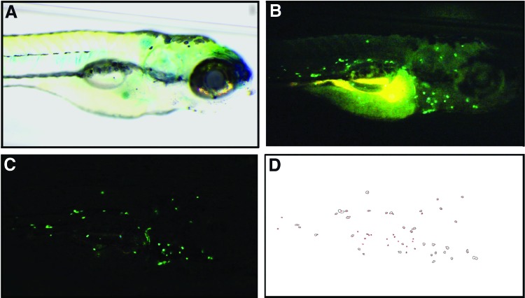 FIG. 1.