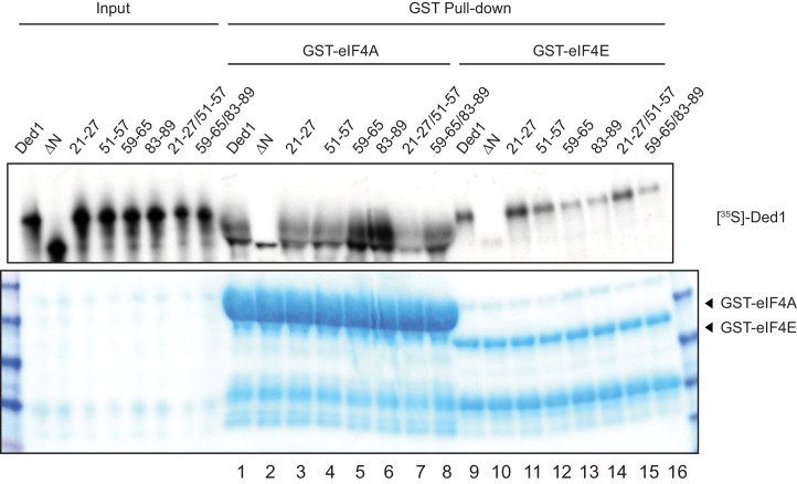 Figure 2—figure supplement 2.