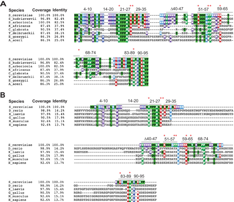 Figure 2—figure supplement 1.