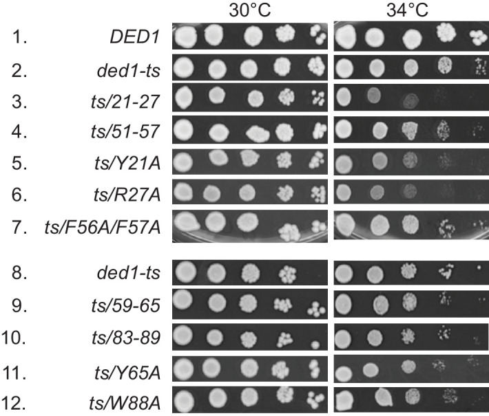 Figure 3—figure supplement 1.