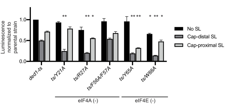 Figure 8—figure supplement 1.