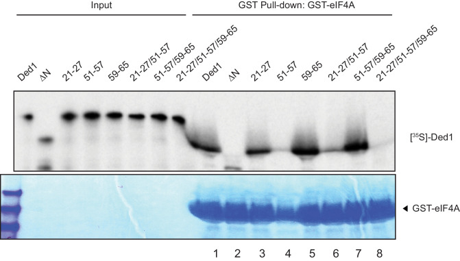 Figure 2—figure supplement 3.