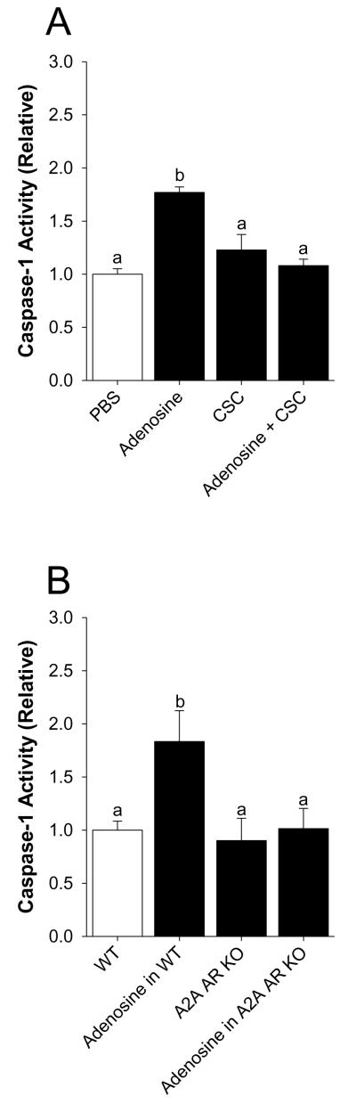 Fig.3