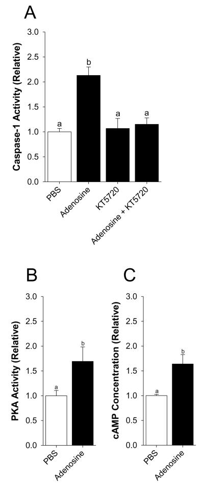 Fig.2