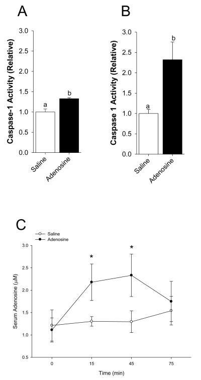 Fig.4