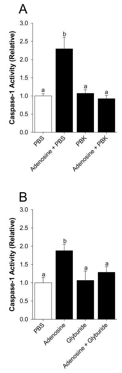 Fig.1