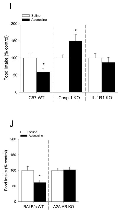 Fig.4