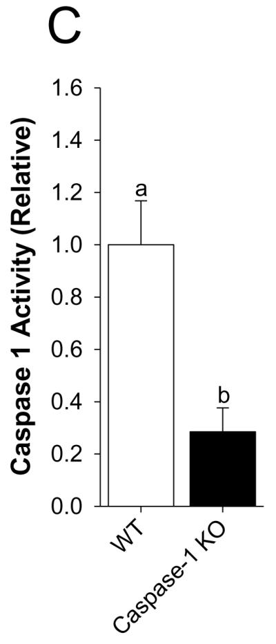 Fig.3