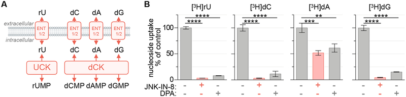 Figure 2 |