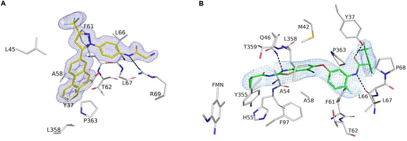 Figure 4 |