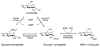 Scheme 2