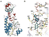 Figure 19