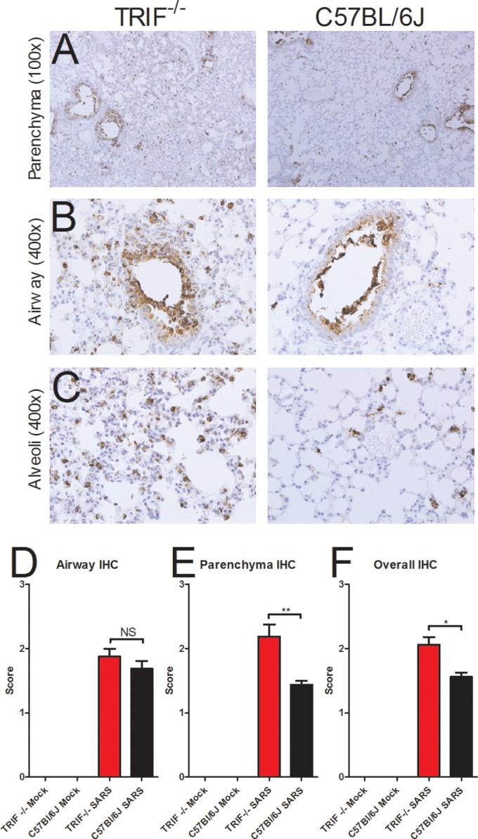 FIG 4 