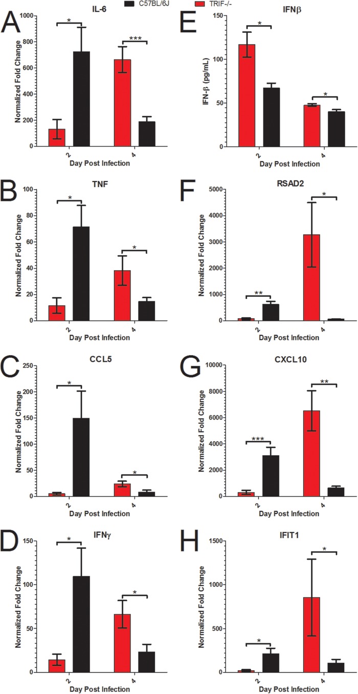 FIG 6 