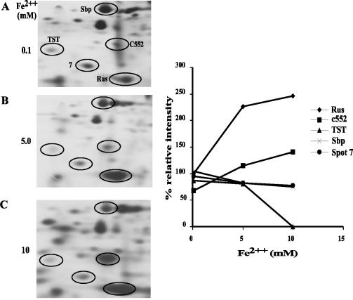 FIG. 4.