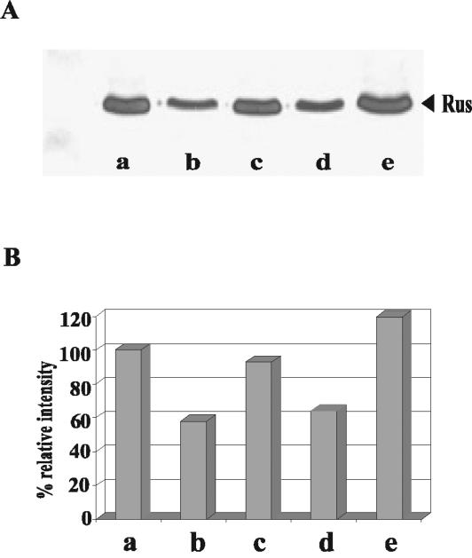 FIG. 5.