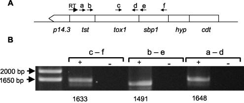 FIG. 2.