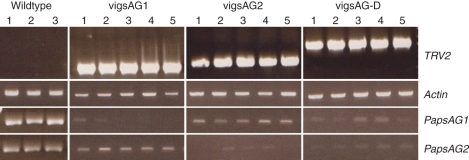 Fig. 6.