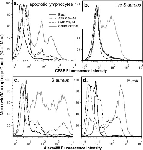 FIGURE 2.