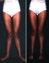 Fig. 4