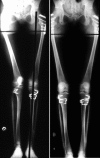 Fig. 5