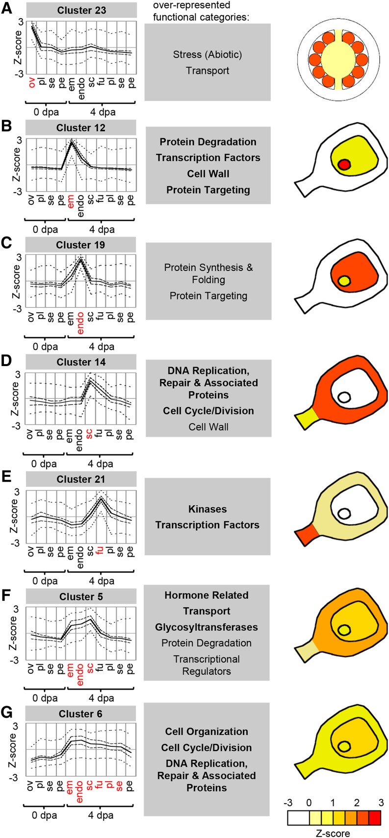 Figure 6.