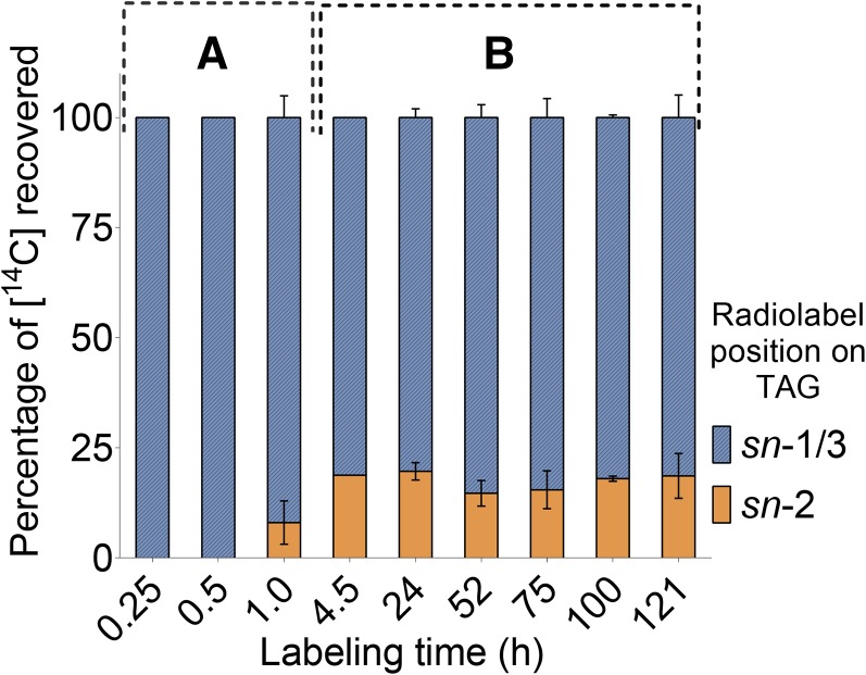 Figure 6.