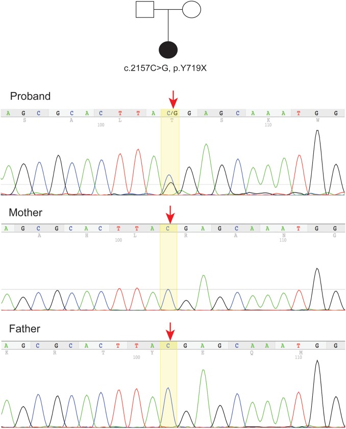 Figure 1