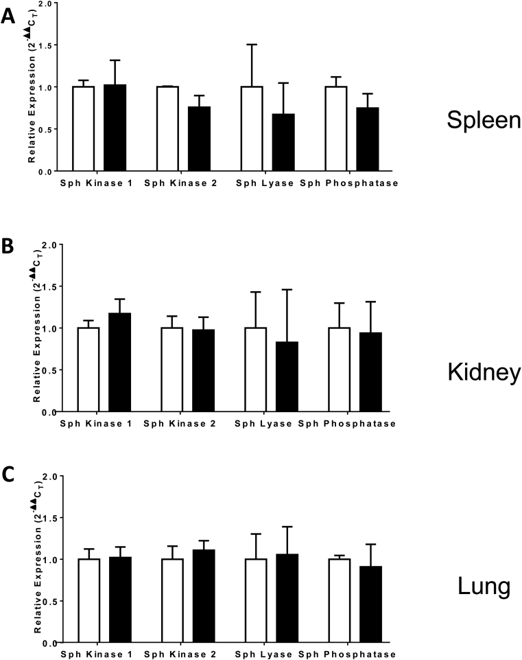 Supplementary Figure 4