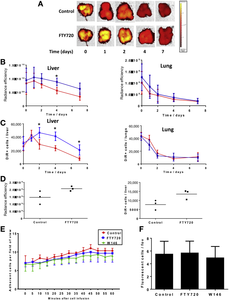 Figure 6