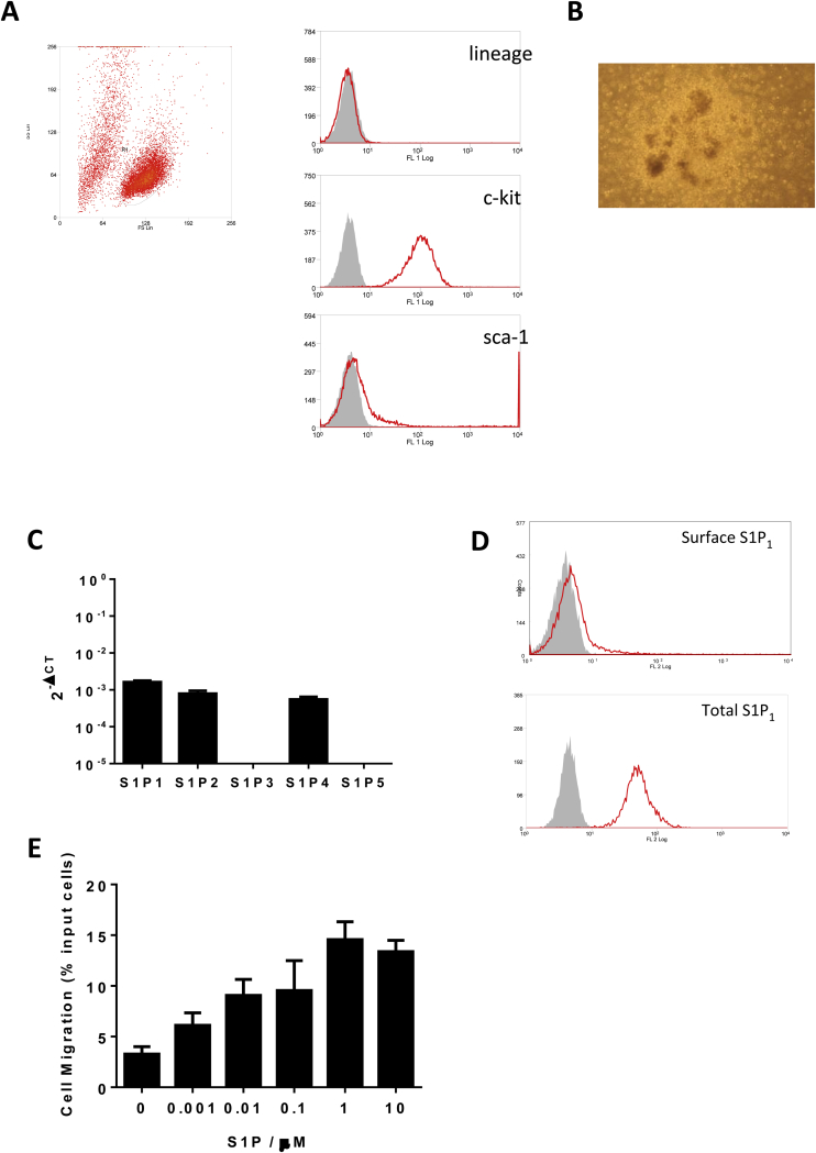 Supplementary Figure 8