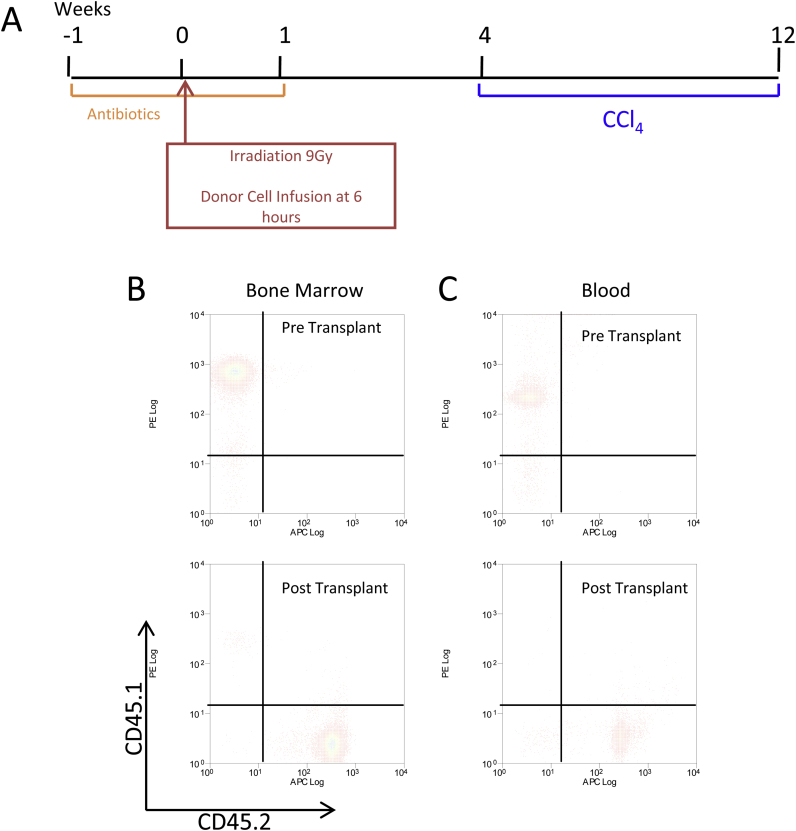 Supplementary Figure 1