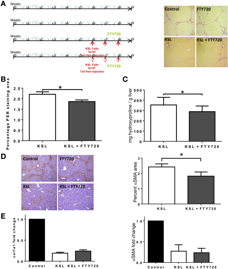 Figure 7