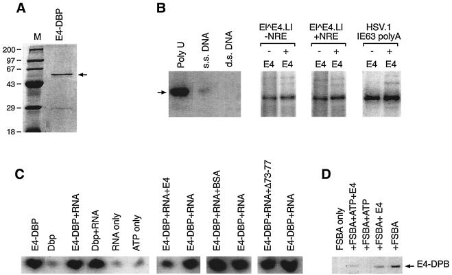 FIG. 8