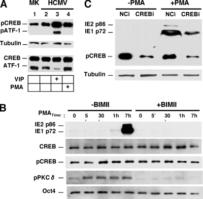 FIG. 6.