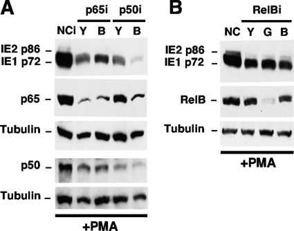 FIG. 9.