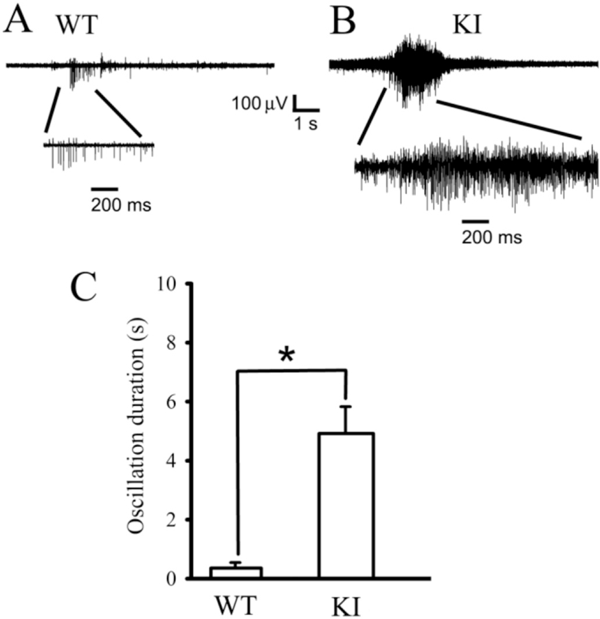 Fig. 8.