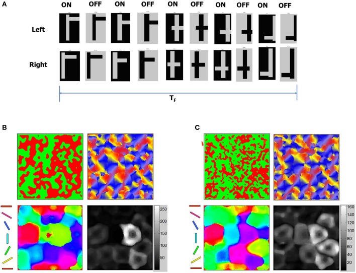 Figure 15