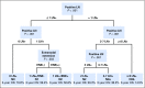 Fig 3.